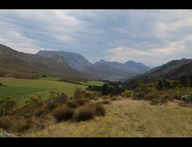 911HA FARM FOR SALE IN RIVERSDALE RURAL